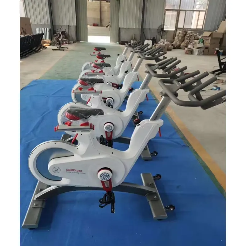 Professional Magnetic Resistan - đánh giá và giá Home Gym Resistance