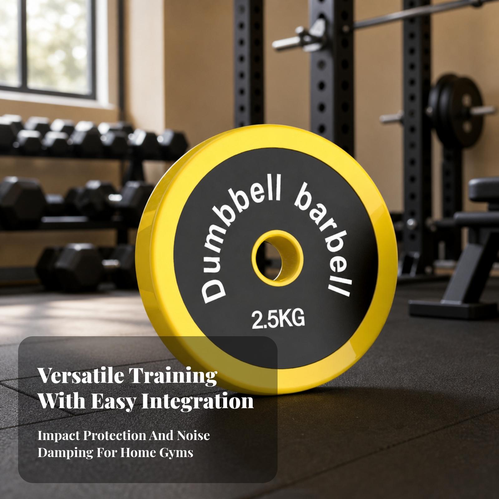 Yellow Rubber Coated Load Disc - đánh giá và giá Home Gym Yellow