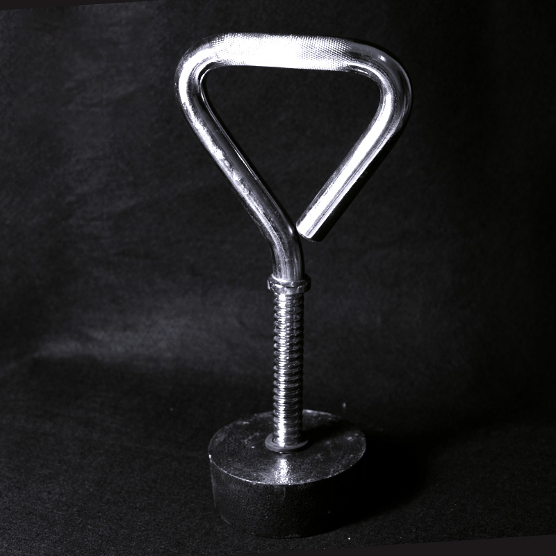 Adjustable Fitness Kettlebell  - đánh giá và giá Home Gym Kettlebells